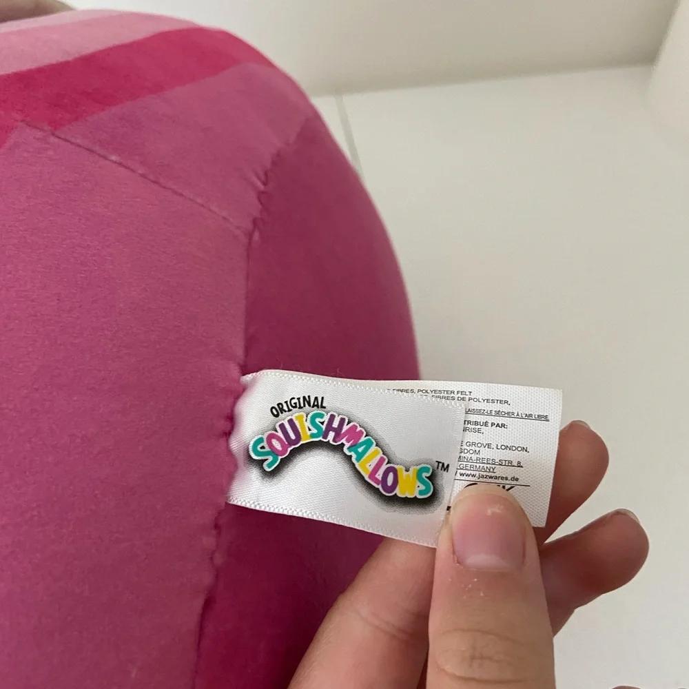 NWOT | *RARE* Zuzana the Planet 14‎ inch Squishmallow plush